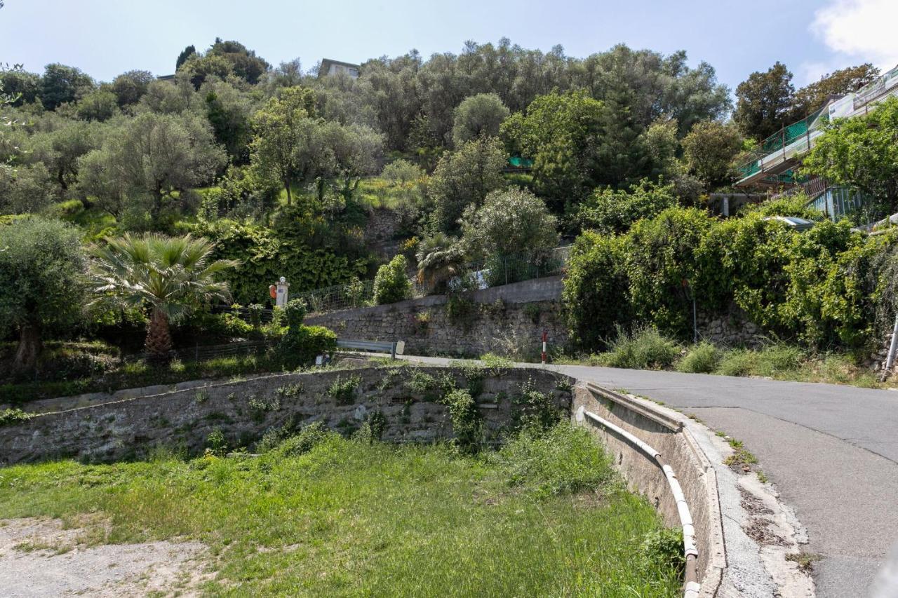 Strada Degli Olandesi - Panoramic Villa By Halldis Camporosso  Exterior photo